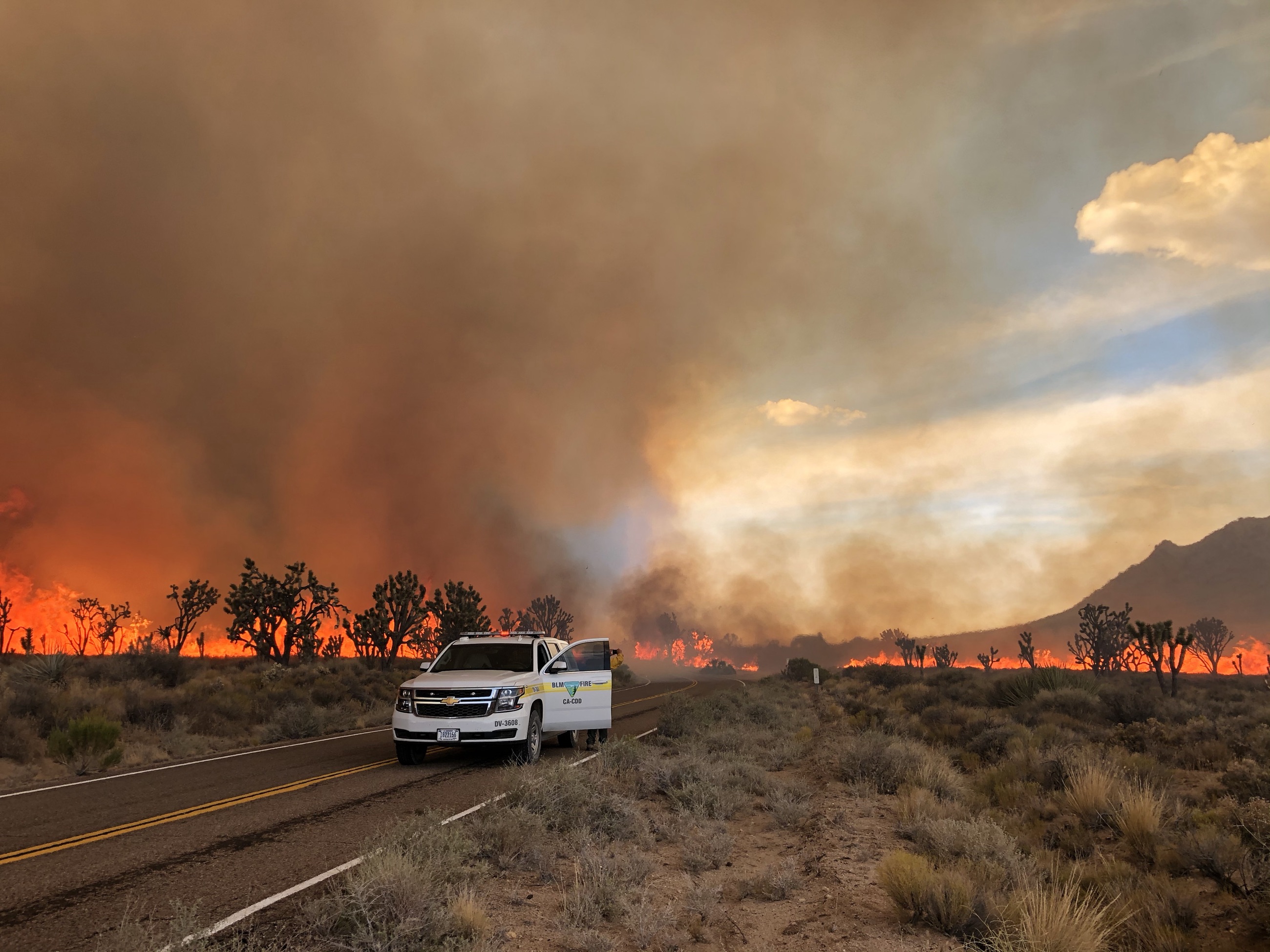 The 2020 Dome Fire burning across Cima Road in Mojave National Preserve